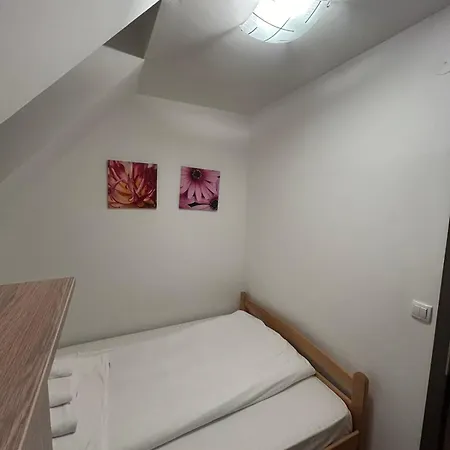 Ema A2 Kraljevi Cardaci Kopaonik