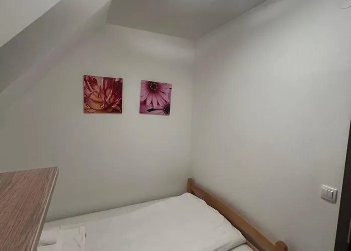 Ema A2 Kraljevi Cardaci Копаоник